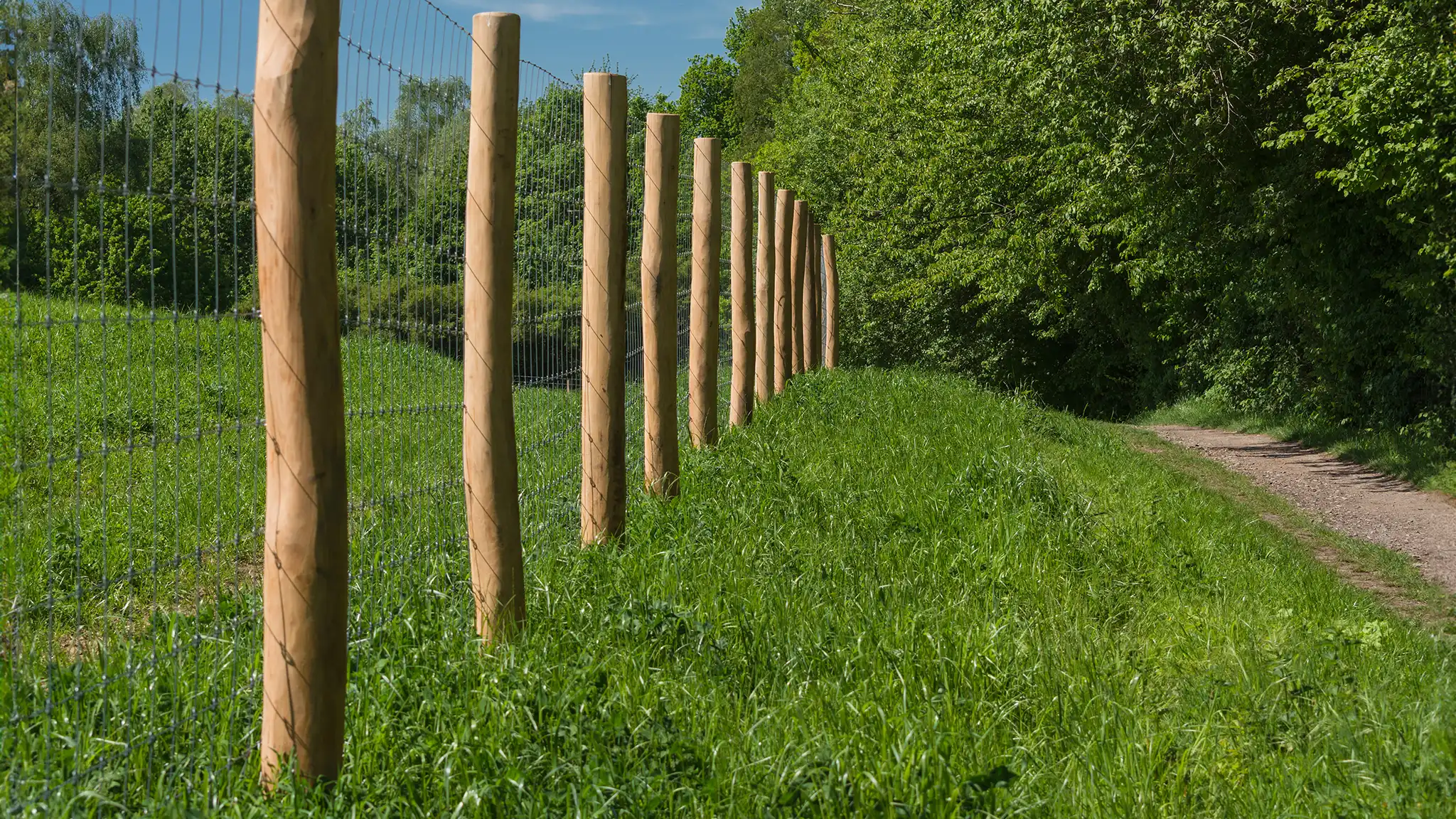 A Chowns Agricultural Services A wooden fence in the middle of a Warwickshire field.