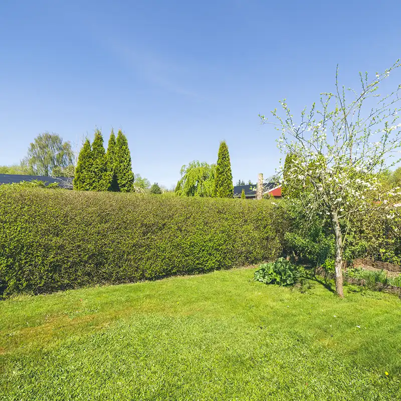 A Chowns Agricultural Services A green lawn with trees and shrubs in Alcester, Worcestershire.