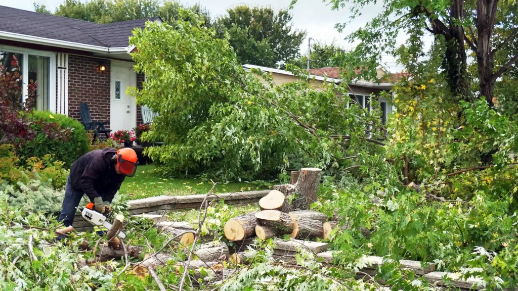 A Chowns Agricultural Services A farming man cutting down a tree in front of a house in Warwickshire.