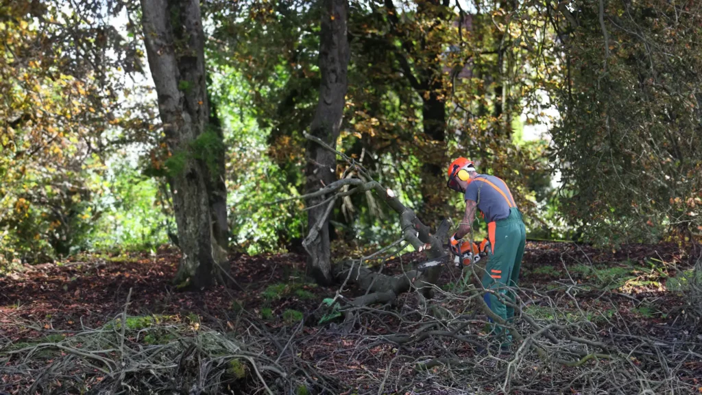 A Chowns Agricultural Services A man using a chainsaw in Alcester, Warwickshire to provide Agricultural Services.
