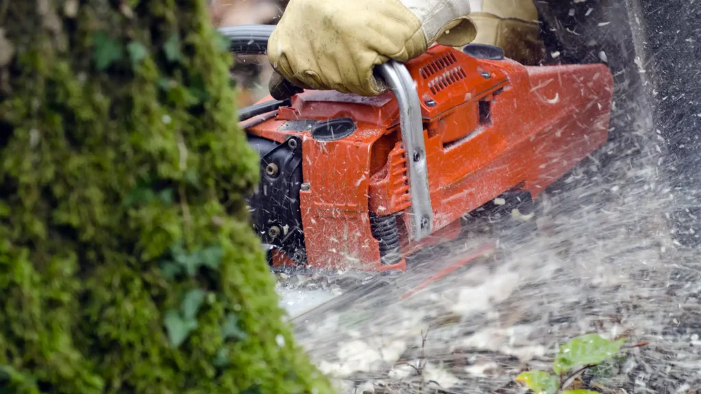 A Chowns Agricultural Services An individual from Alcester, Warwickshire is utilizing a chainsaw to perform agricultural services such as cutting down a tree.