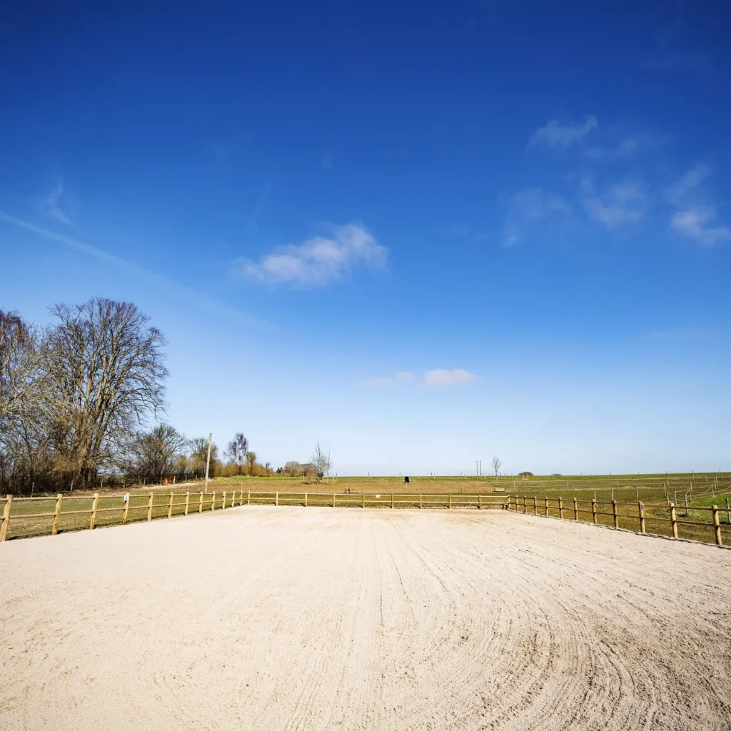 A Chowns Agricultural Services A Worcestershire agricultural field with a horse in the middle of it.