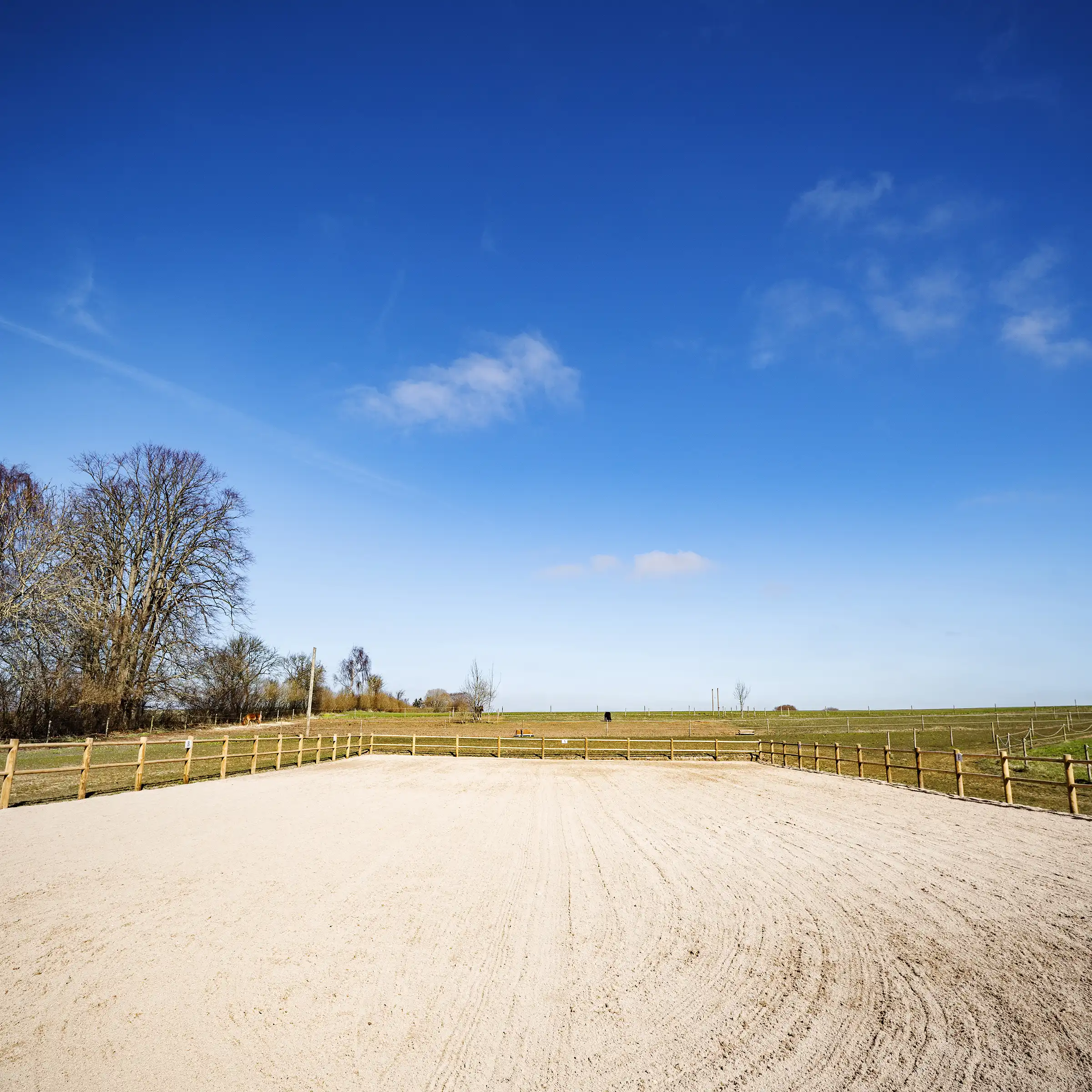 A Chowns Agricultural Services A Worcestershire agricultural field with a horse in the middle of it.