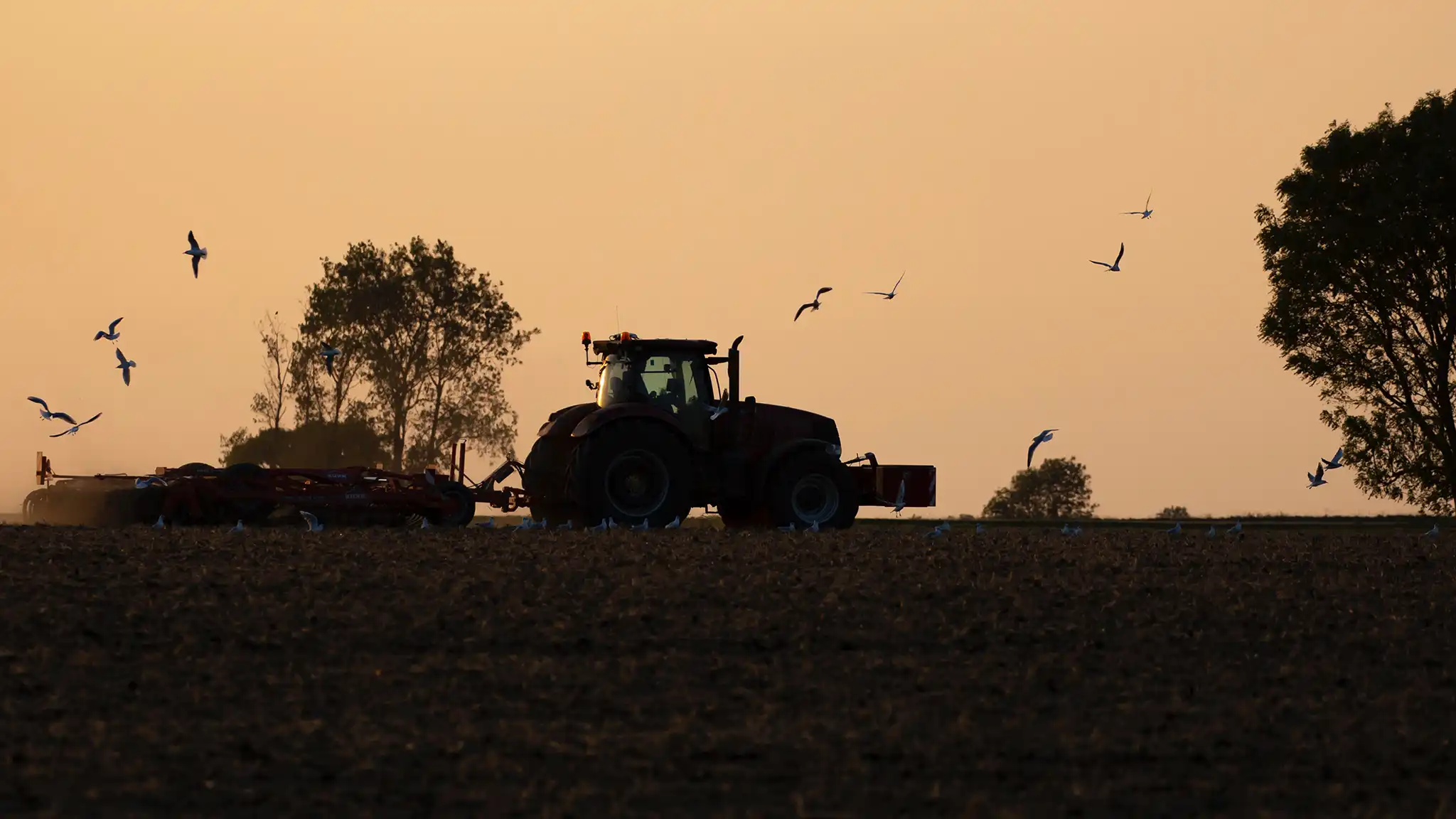 A Chowns Agricultural Services An Agricultural Services tractor in a field with birds flying over it.