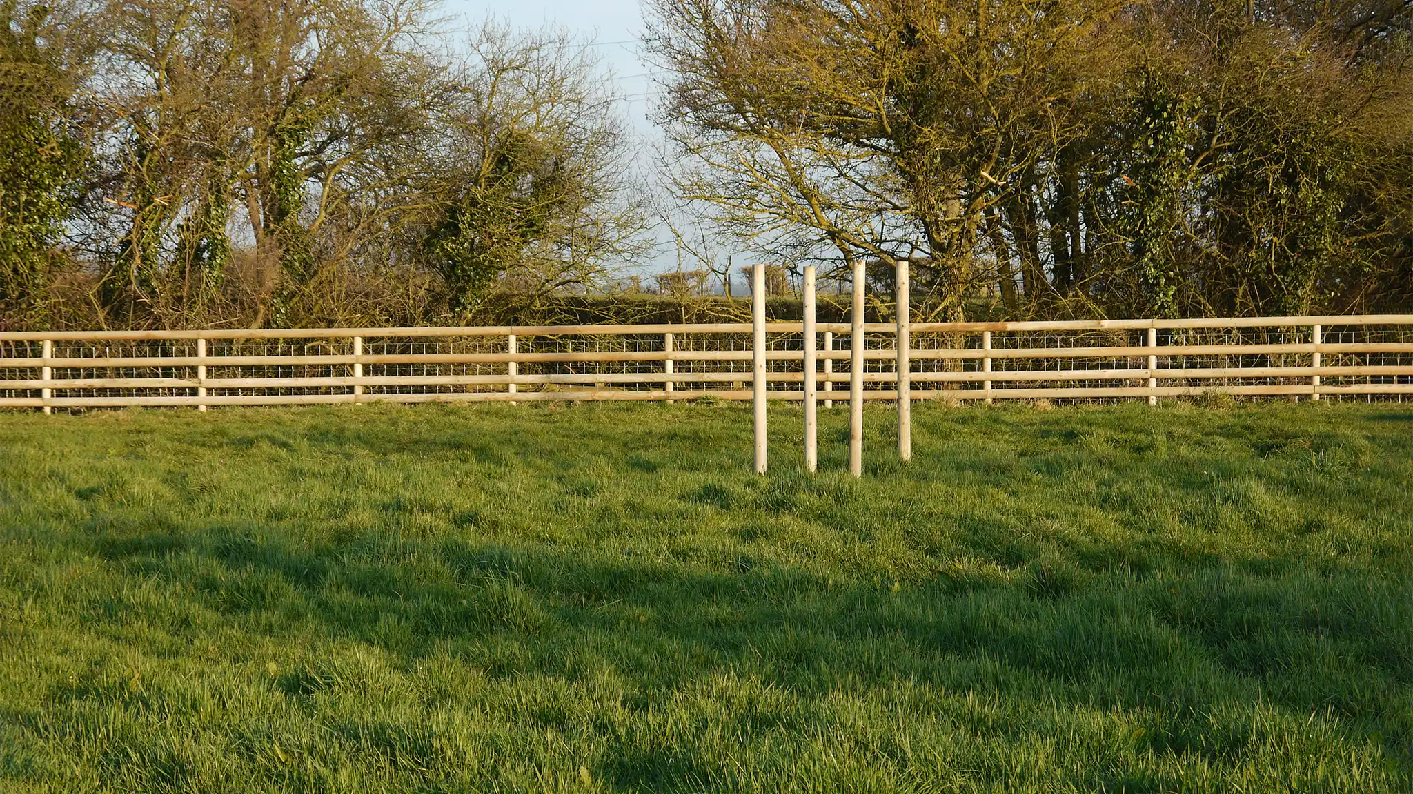 A Chowns Agricultural Services A newly installed fence and tree protector in Worcestershire.