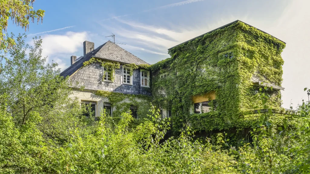 A Chowns Agricultural Services An abandoned house in Warwickshire covered in ivy.