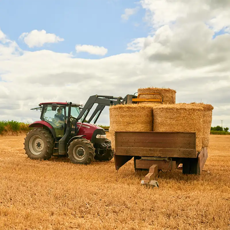 A Chowns Agricultural Contractor Services Other Services Hay Making Straw Baling Bales Large Small Round