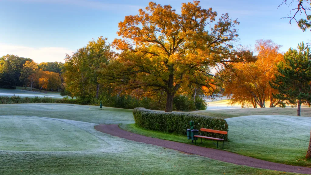 A Chowns Agricultural Contractor Services Amentiy Commercial Hedge Maintenance Golf Course Hedges