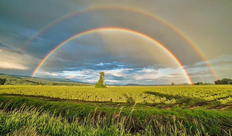 A Chowns Agricultural Services Supporting Local Agriculture Why It Matters