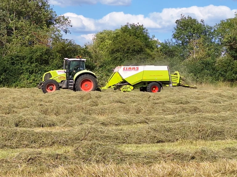 Large Square Bales, The Best Bale Type There Is!