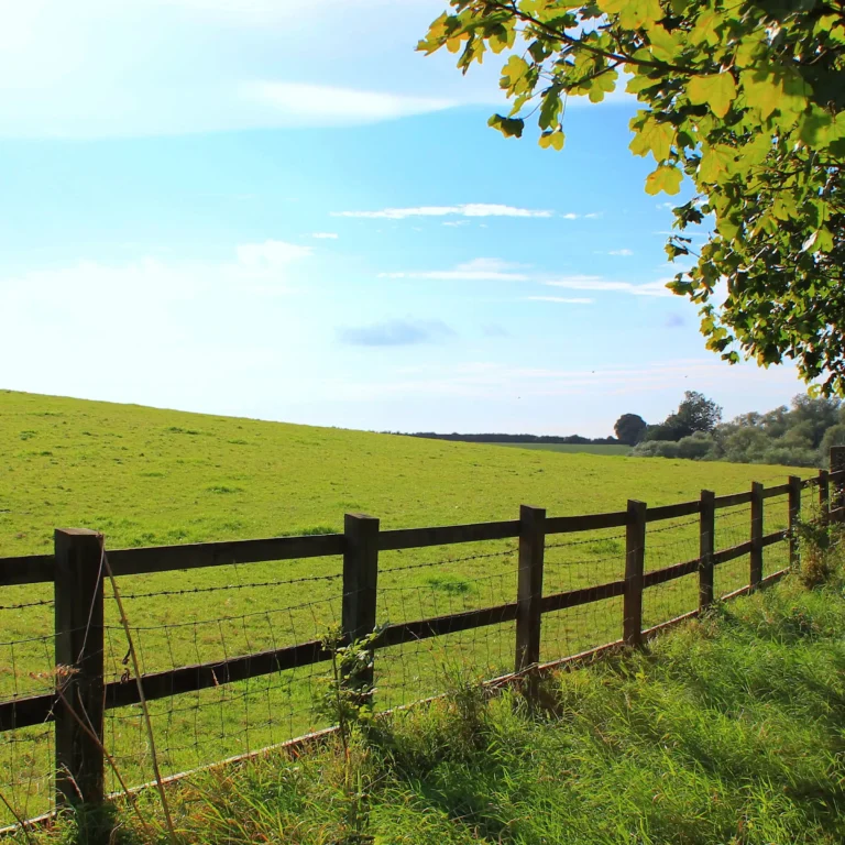 A Chowns Agricultural Services Equestrian Services On Offer How We Help Local Smallholders